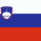 Slovenia flag image